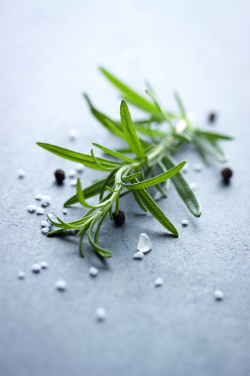 Rosemary Extract