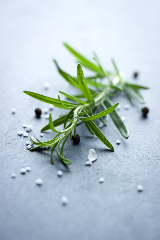 Rosemary Leaf Oil